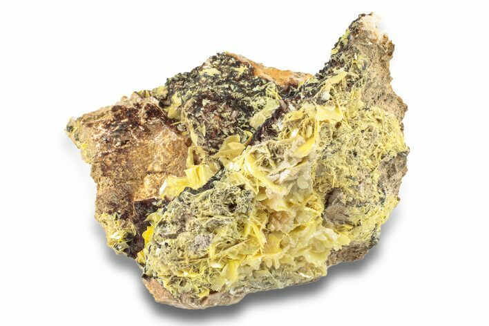 Bright Yellow Wulfenite on Dolomite - Morocco #258041